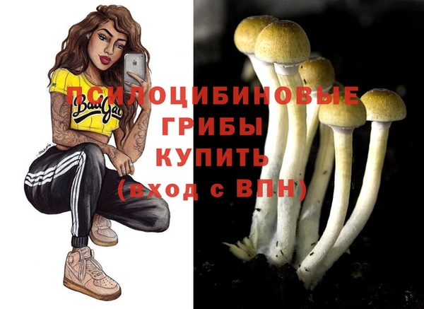 альфа пвп Верхнеуральск